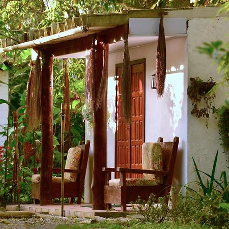 Casa A Beira Do Rio Jaguareguava Na Mata Atlantica Em Bertioga Sp Villa Eksteriør billede