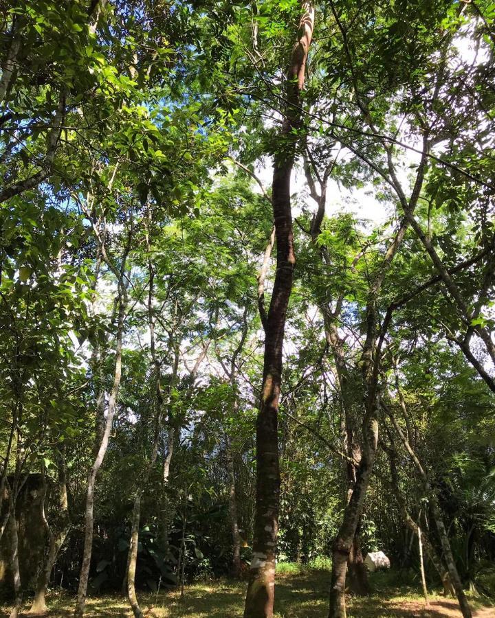 Casa A Beira Do Rio Jaguareguava Na Mata Atlantica Em Bertioga Sp Villa Eksteriør billede