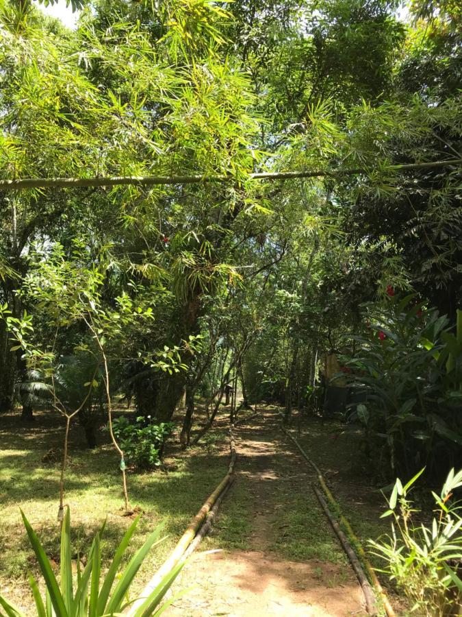Casa A Beira Do Rio Jaguareguava Na Mata Atlantica Em Bertioga Sp Villa Eksteriør billede