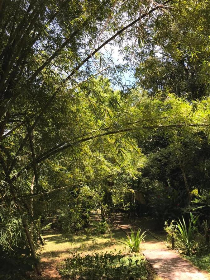 Casa A Beira Do Rio Jaguareguava Na Mata Atlantica Em Bertioga Sp Villa Eksteriør billede